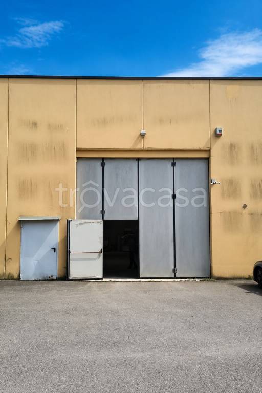 immagine annuncio 5 di 11