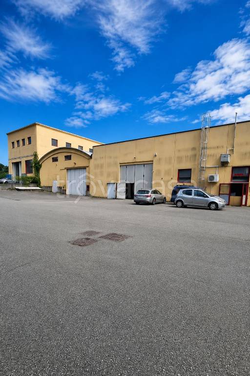 immagine annuncio 9 di 11