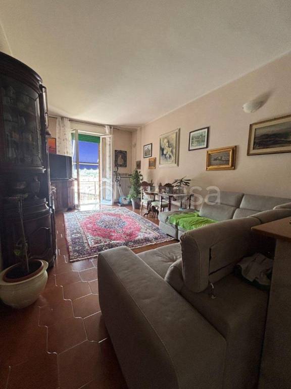 immagine annuncio 10 di 14