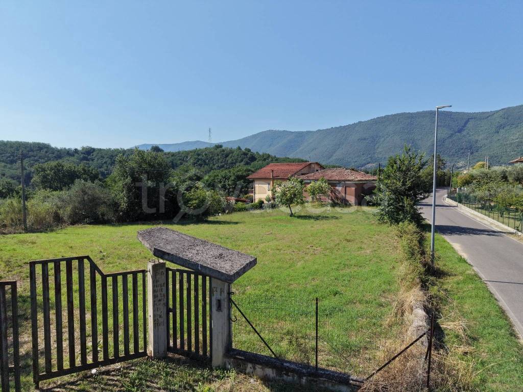 immagine annuncio 6 di 11