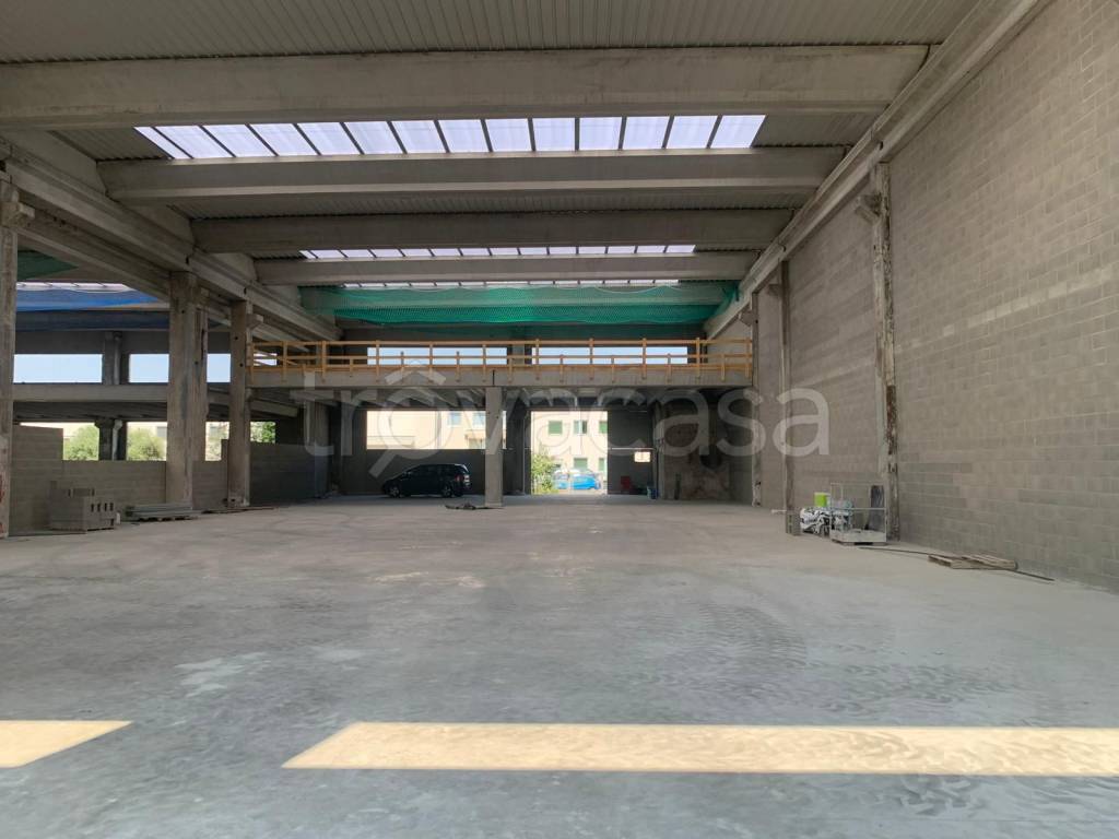 immagine annuncio 5 di 11