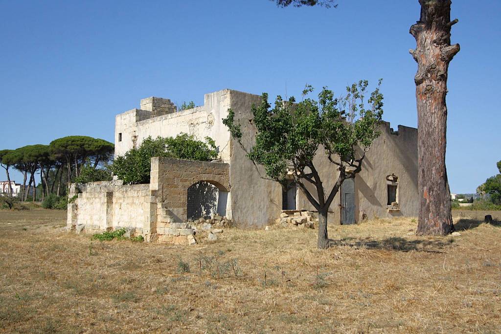 immagine annuncio 10 di 15