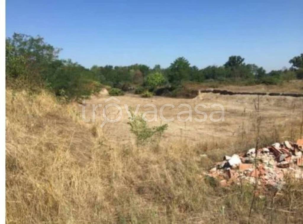 immagine annuncio 4 di 12