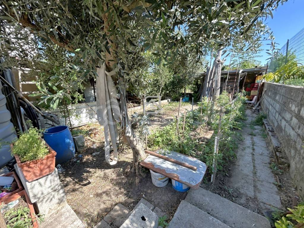 immagine annuncio 4 di 12