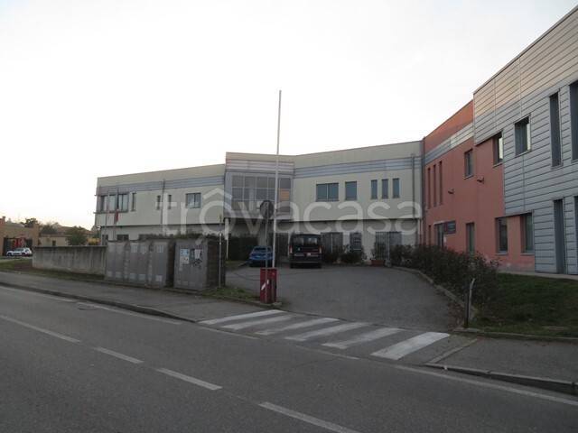 immagine annuncio 3 di 8