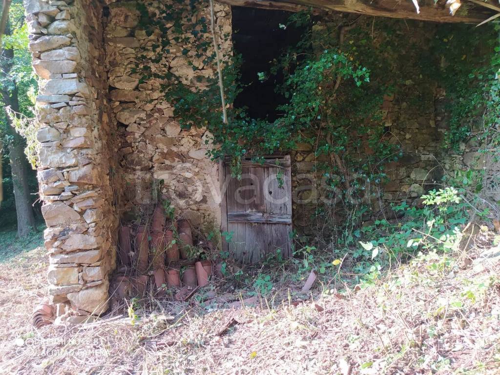 immagine annuncio 3 di 6