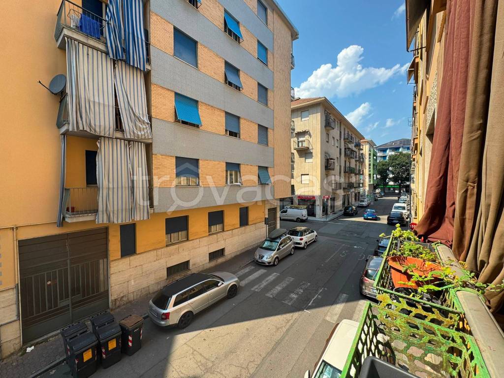 immagine annuncio 12 di 15