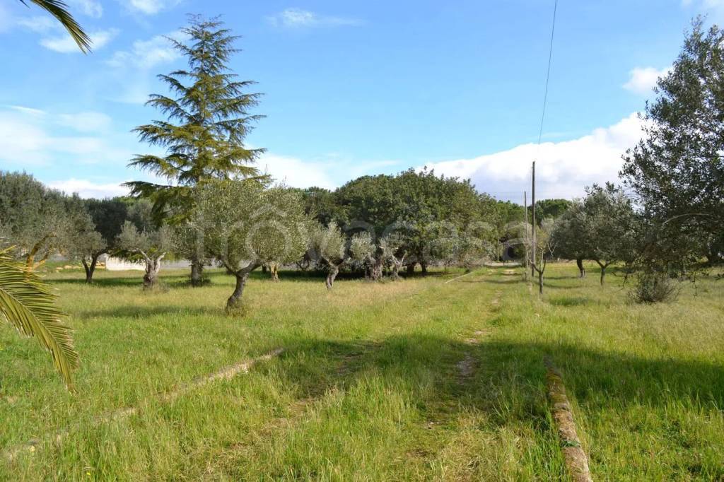 immagine annuncio 7 di 9
