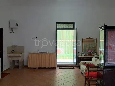 immagine annuncio 4 di 8