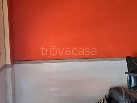 immagine annuncio 4 di 6
