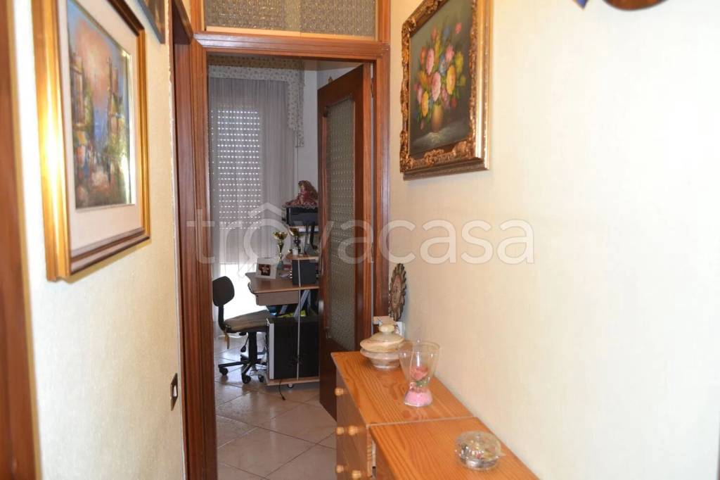 immagine annuncio 5 di 12