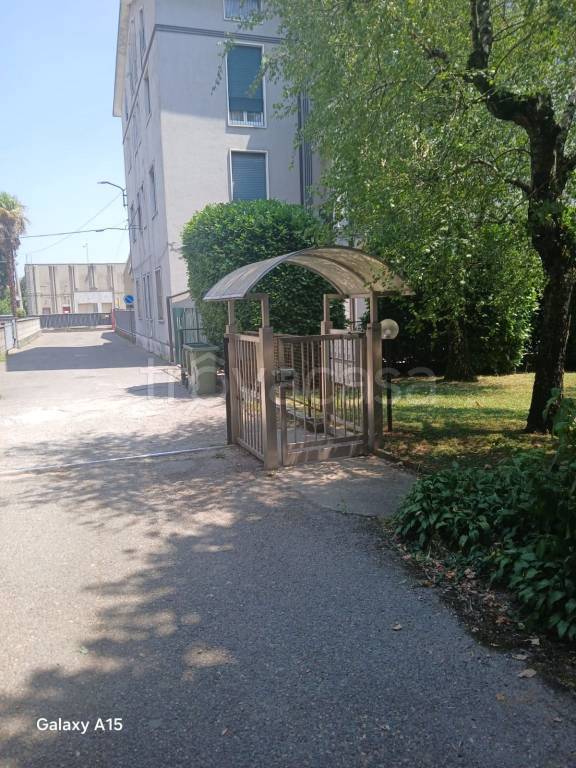 immagine annuncio 1 di 15