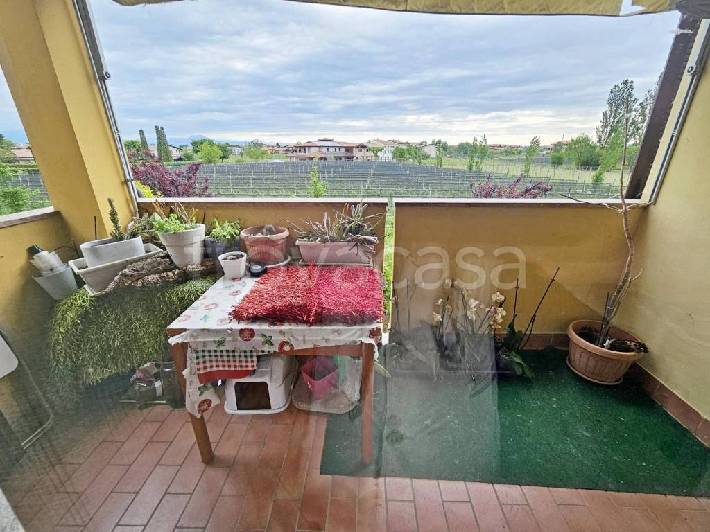 immagine annuncio 2 di 6