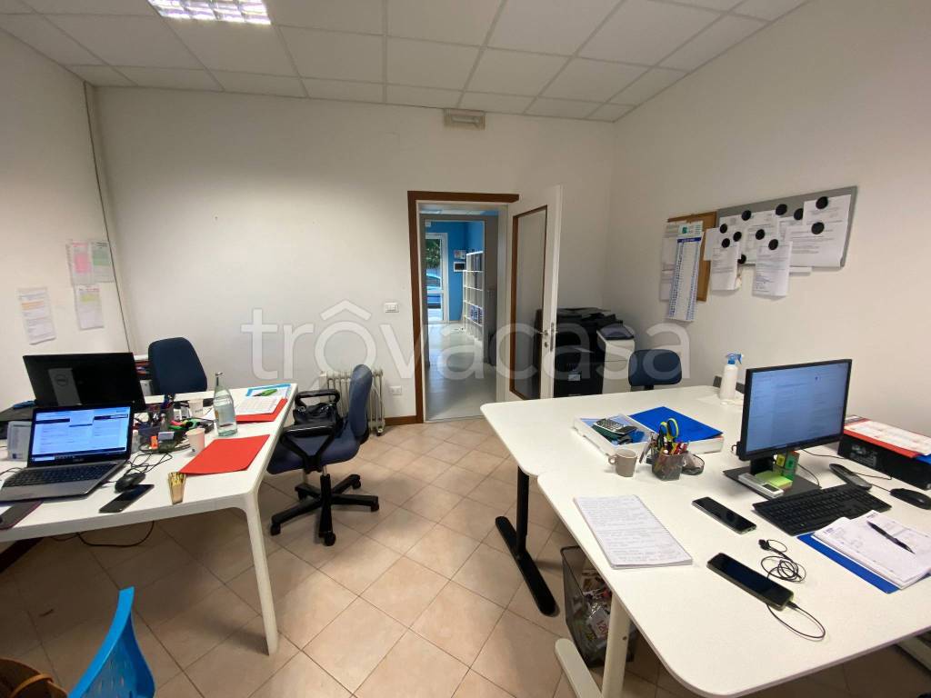 immagine annuncio 4 di 8