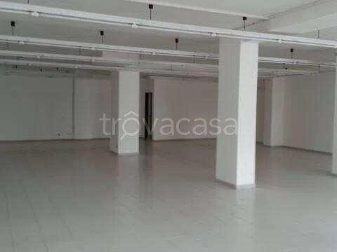 immagine annuncio 5 di 8