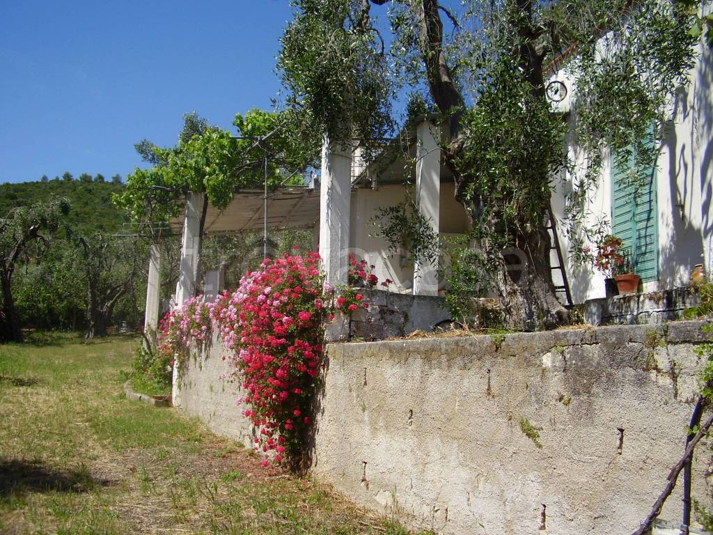 immagine annuncio 8 di 13