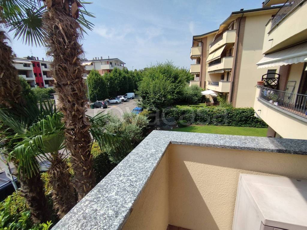 immagine annuncio 10 di 15