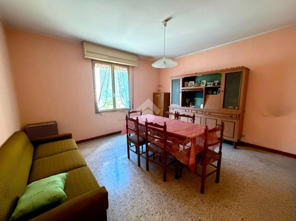 immagine annuncio 1 di 14