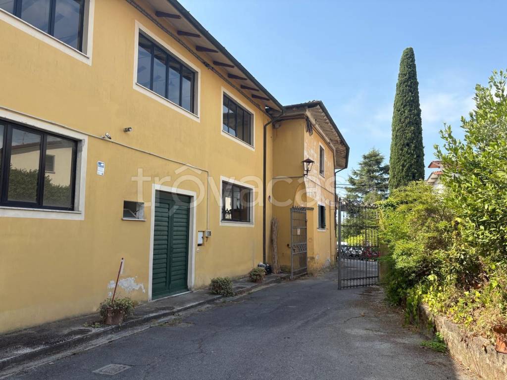 immagine annuncio 5 di 8