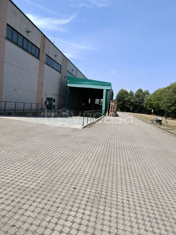 immagine annuncio 5 di 14