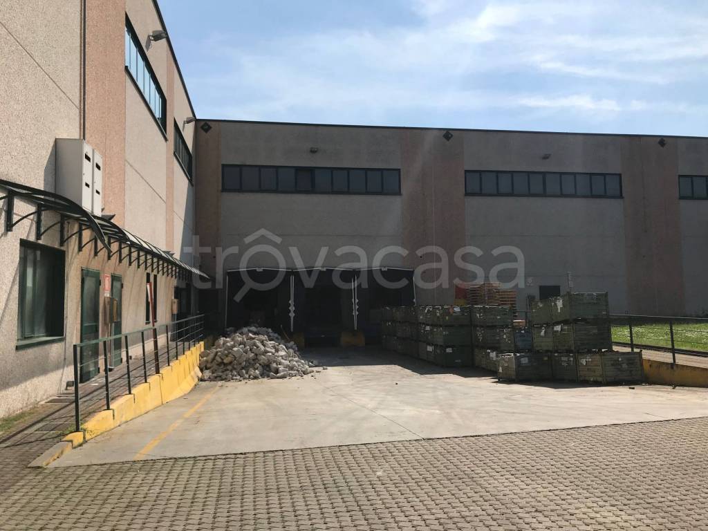 immagine annuncio 11 di 14
