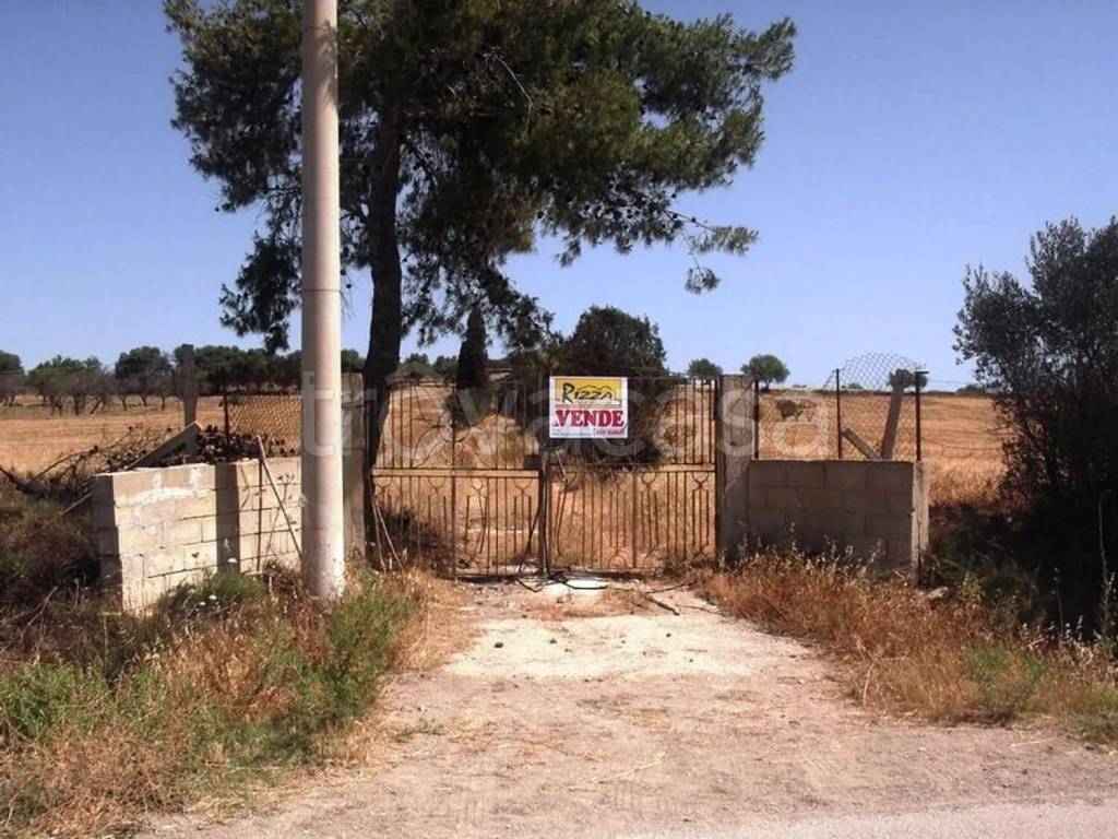 immagine annuncio 9 di 10
