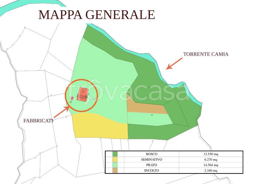 immagine annuncio 2 di 15