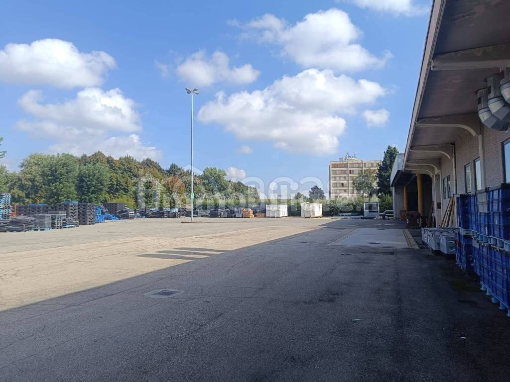 immagine annuncio 9 di 11