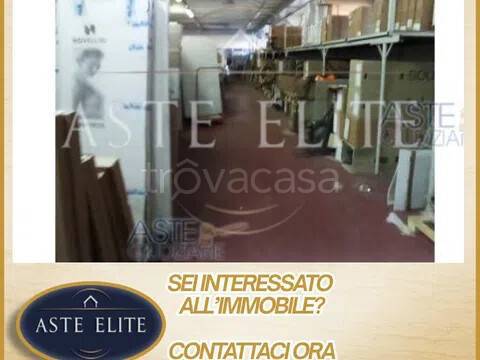 immagine annuncio 2 di 7