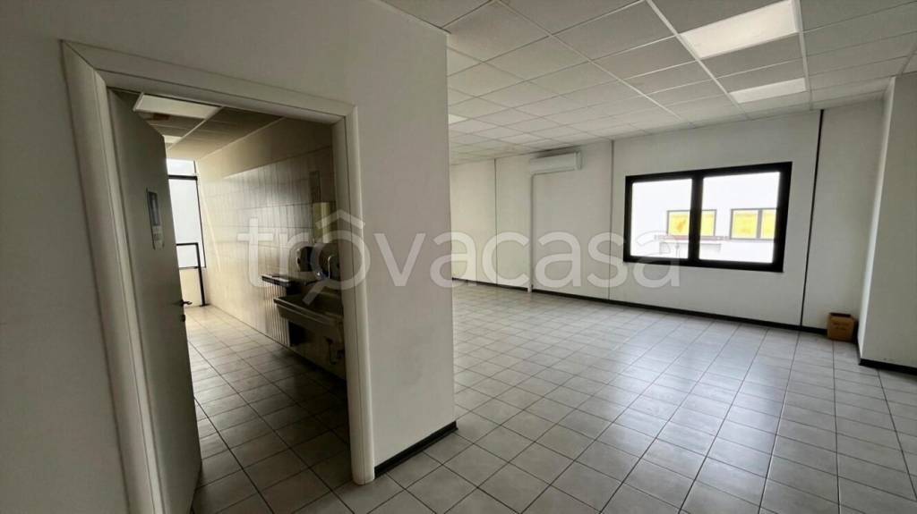 immagine annuncio 7 di 13