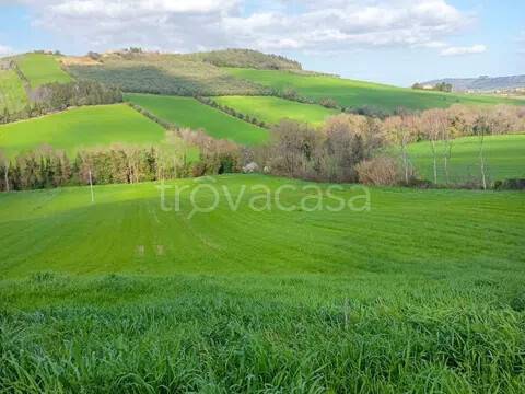 immagine annuncio 4 di 7