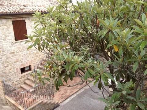 immagine annuncio 8 di 14