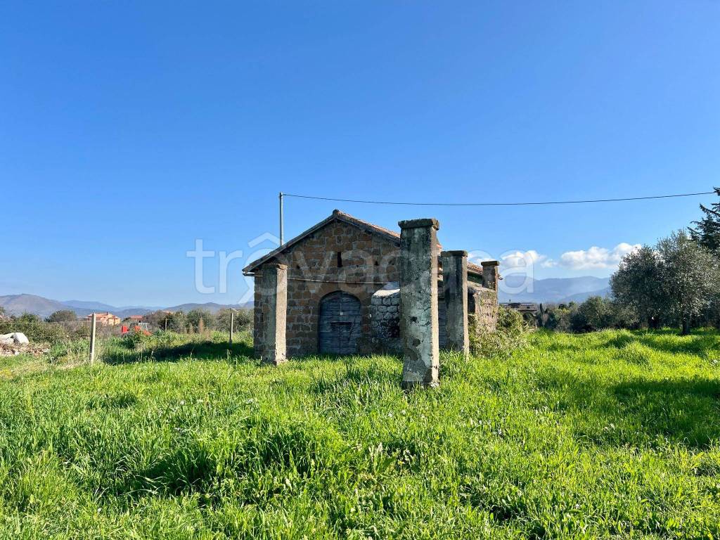 immagine annuncio 2 di 14