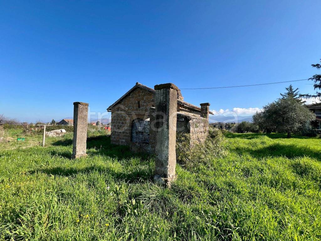 immagine annuncio 5 di 14