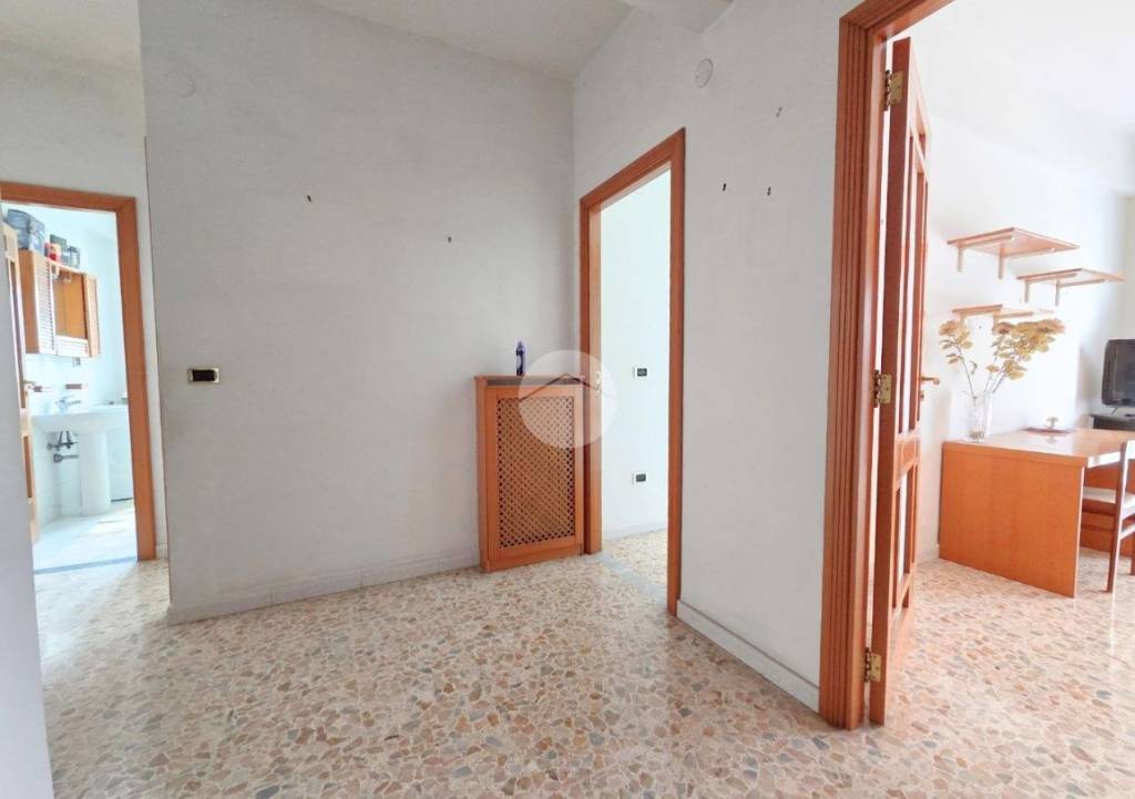 immagine annuncio 4 di 14