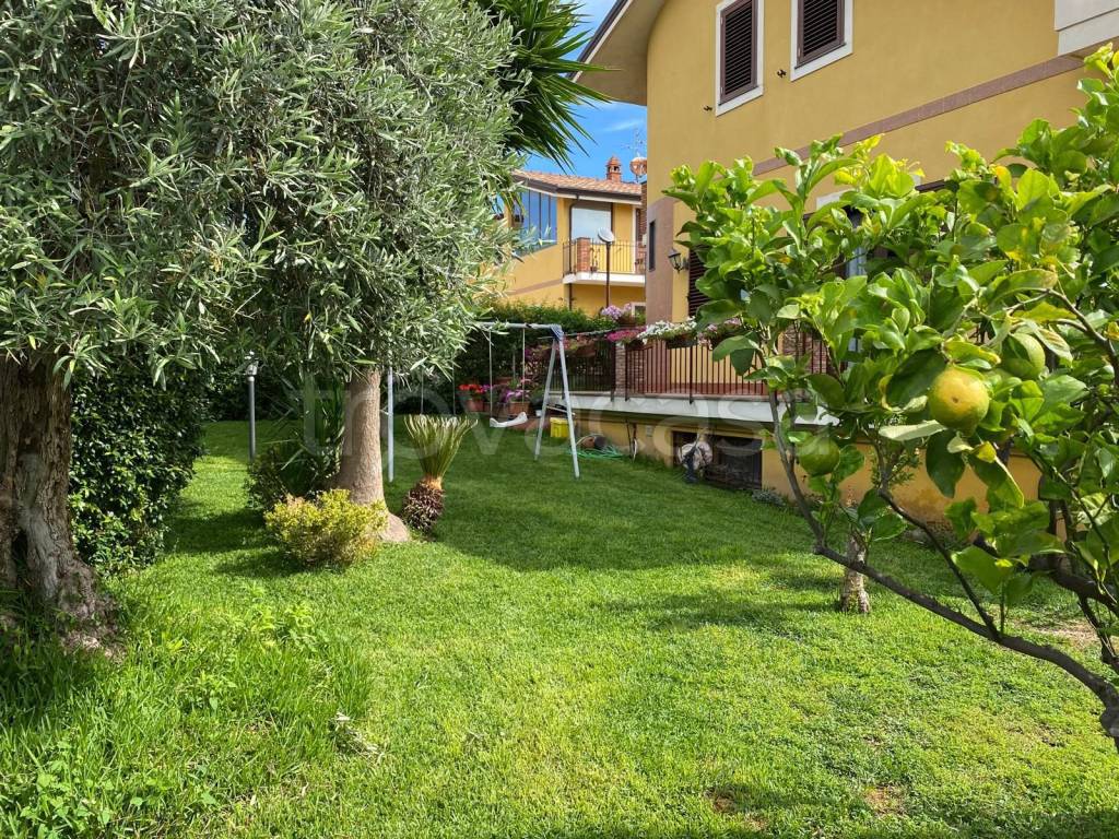 immagine annuncio 7 di 9