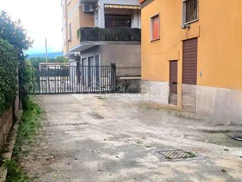 immagine annuncio 4 di 14