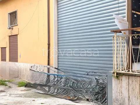 immagine annuncio 6 di 14