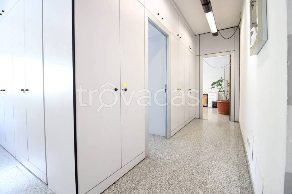 immagine annuncio 10 di 14