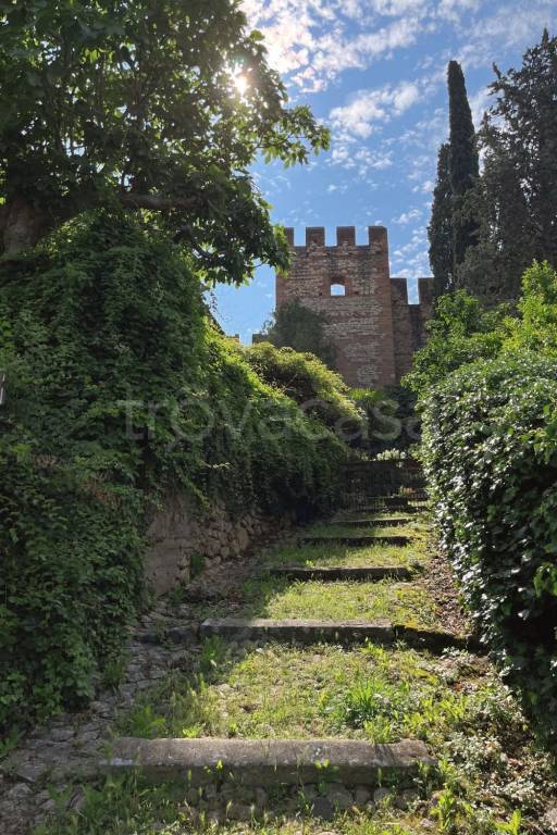 immagine annuncio 4 di 8