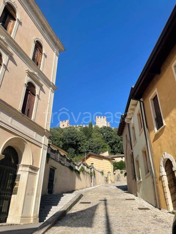 immagine annuncio 5 di 8