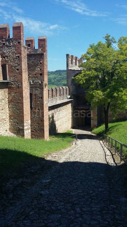 immagine annuncio 7 di 8
