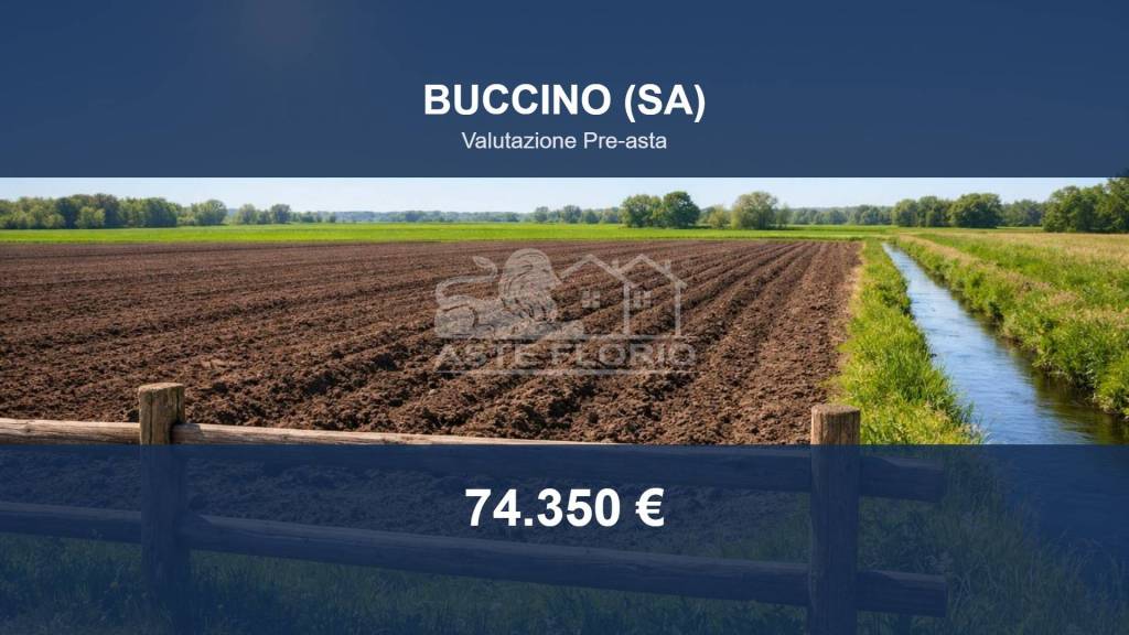 terreno agricolo in vendita a Buccino