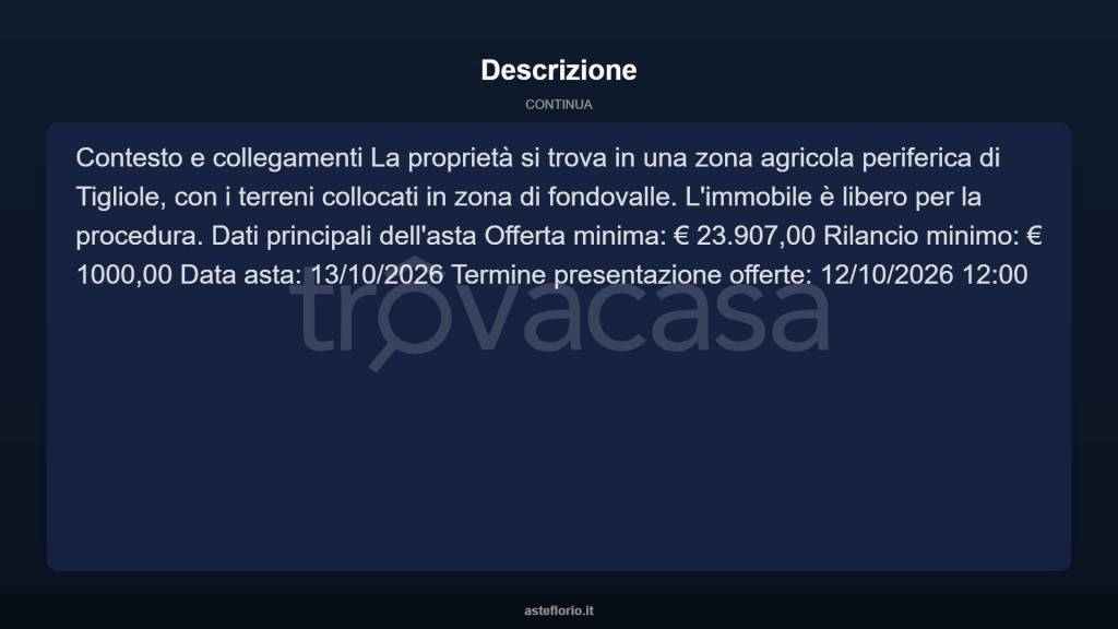 immagine annuncio 12 di 15