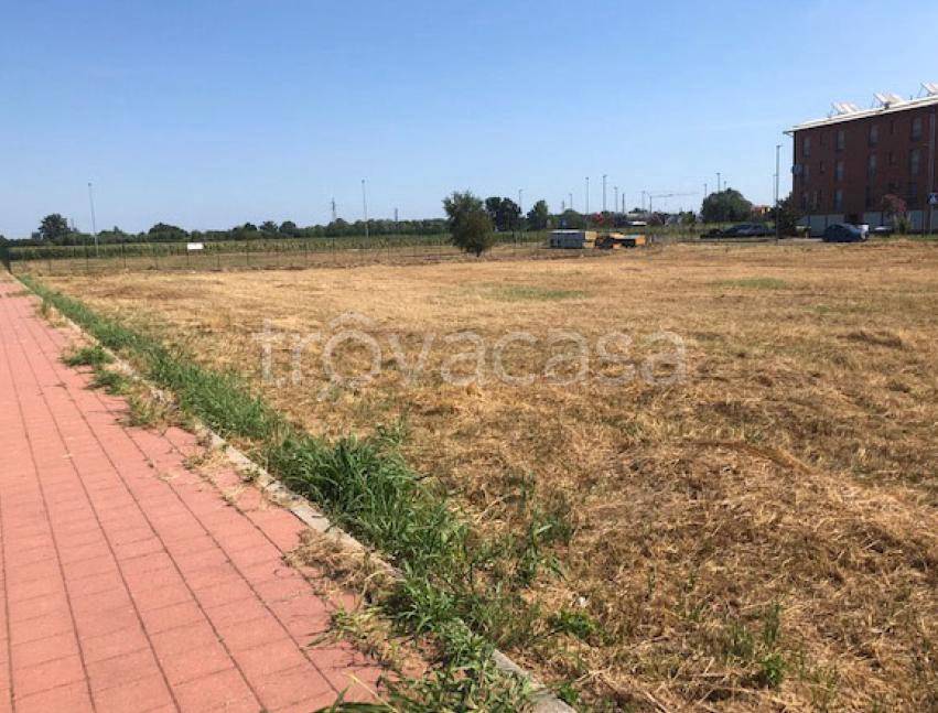 immagine annuncio 6 di 15