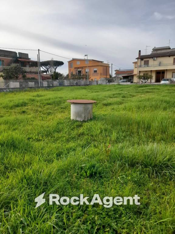 immagine annuncio 3 di 12