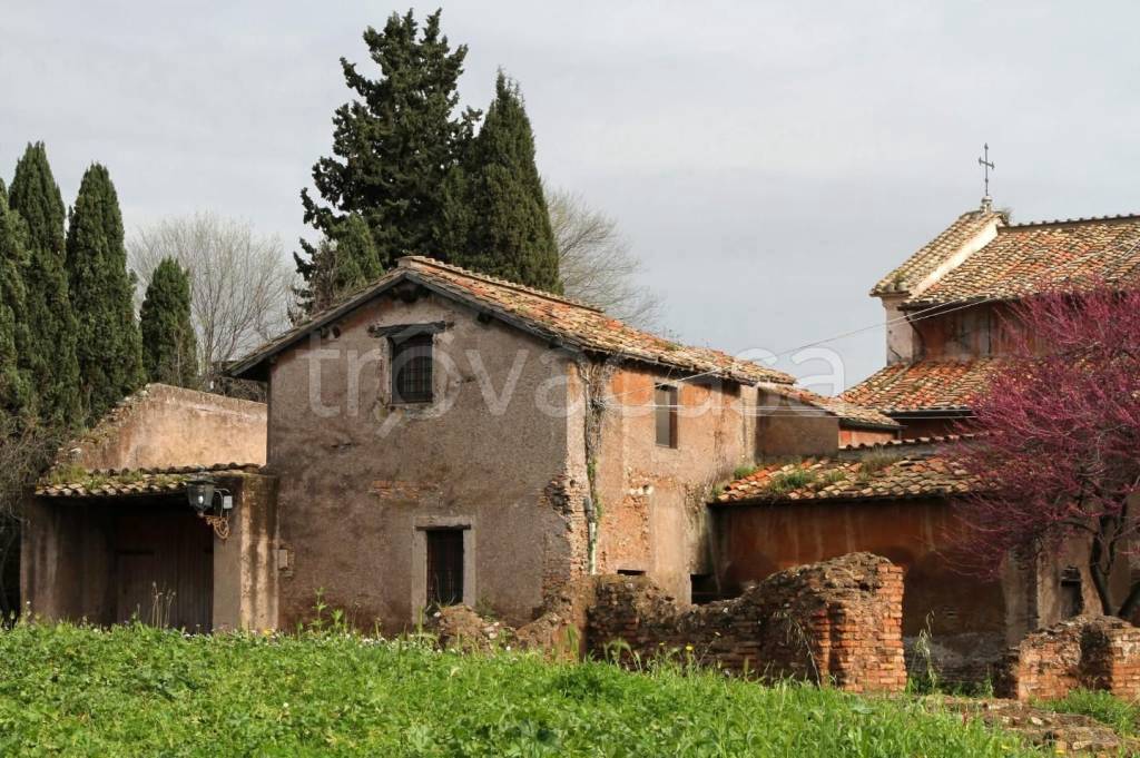 immagine annuncio 3 di 7