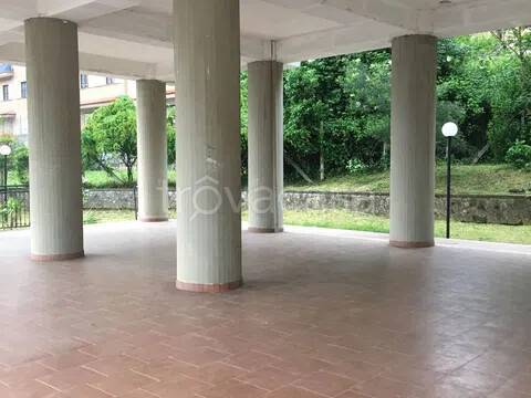 immagine annuncio 11 di 14