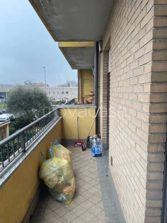 immagine annuncio 8 di 15