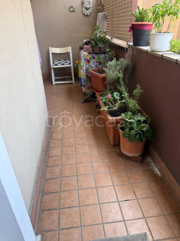 immagine annuncio 7 di 8